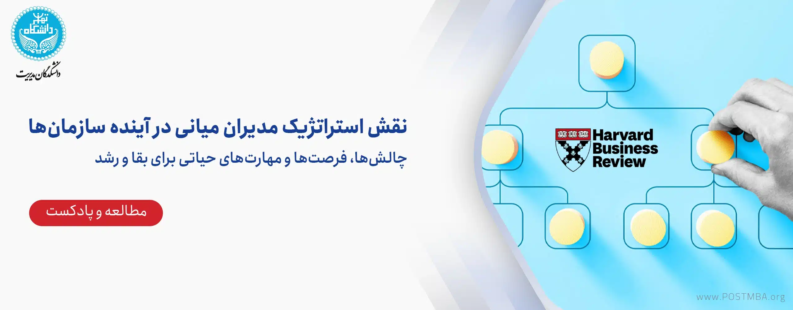نقش استراتژیک مدیران میانی در آینده سازمان‌ها: چالش‌ها، فرصت‌ها و مهارت‌های حیاتی برای بقا و رشد